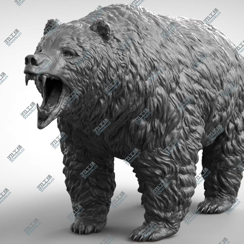 images/goods_img/202104094/Bear Realistic 3D model/1.jpg